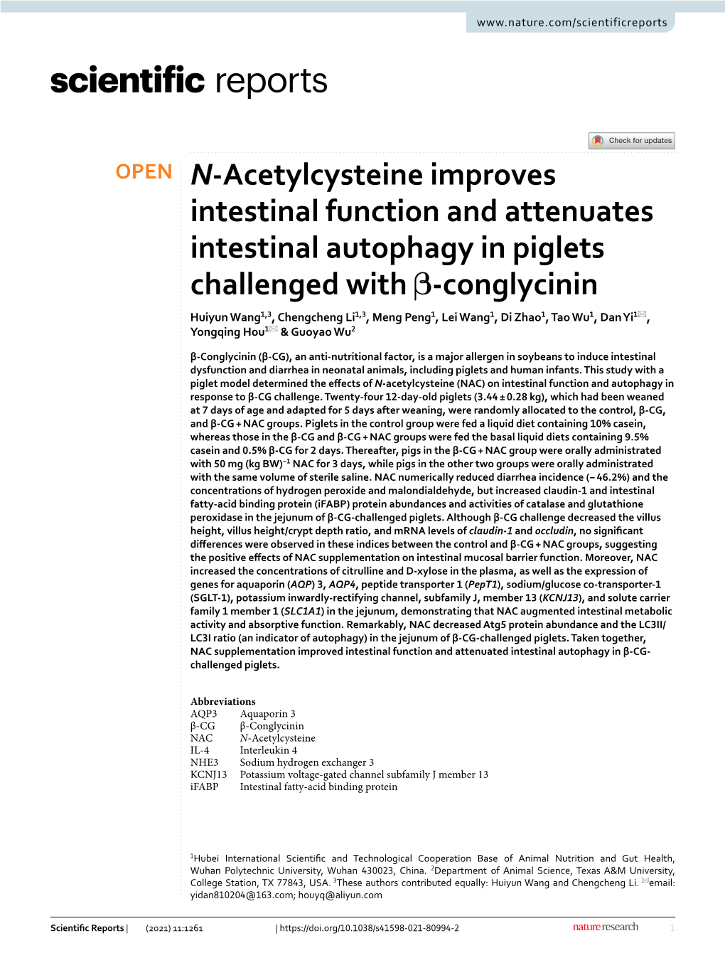 N-Acetylcysteine Improves Intestinal Function and Attenuates Intestinal