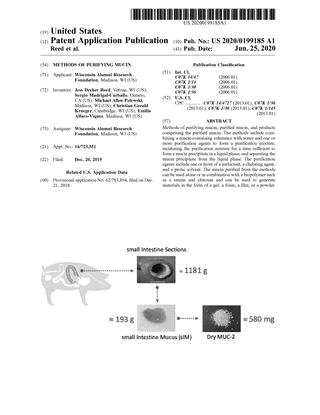 View U.S. Patent Application Publication No. US-2020-0199185 in PDF Format