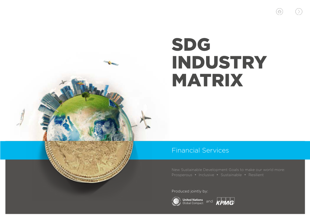 Sdg Industry Matrix for Financial Services