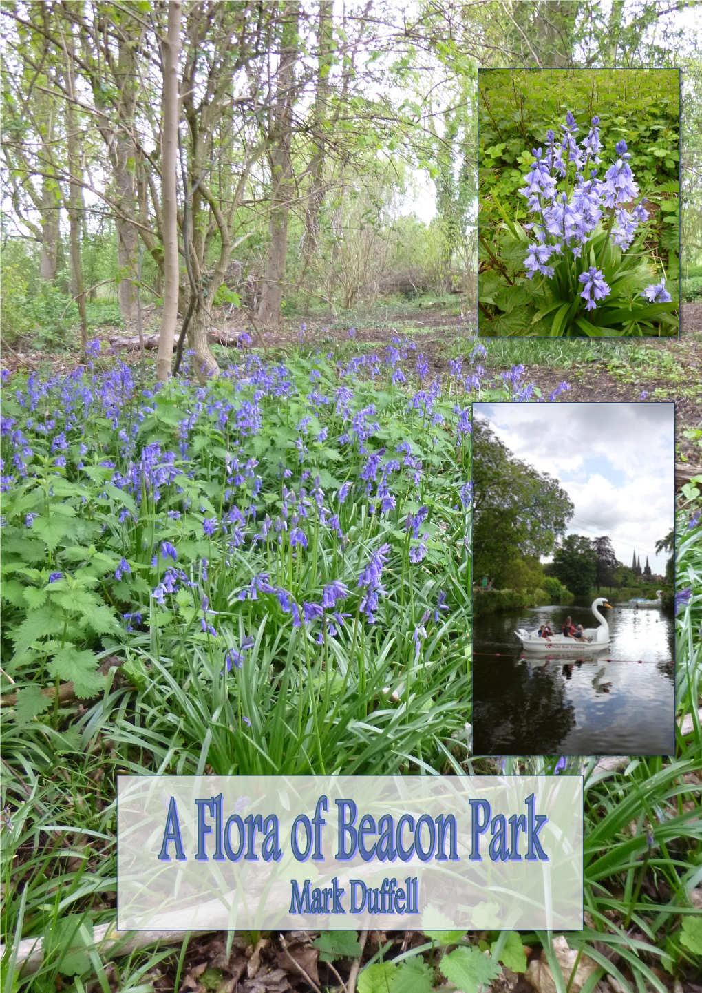 The Flora of Beacon Park 2014