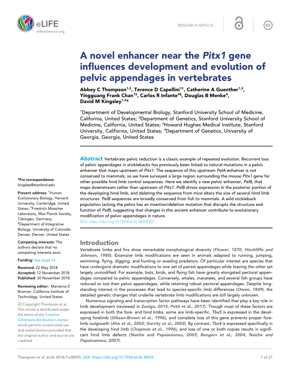 A Novel Enhancer Near the Pitx1 Gene Influences Development And