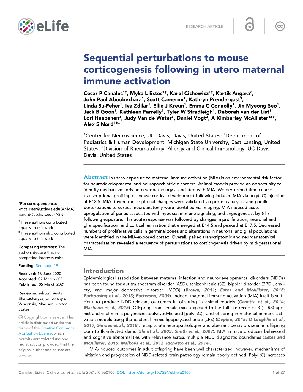 Sequential Perturbations to Mouse Corticogenesis Following in Utero