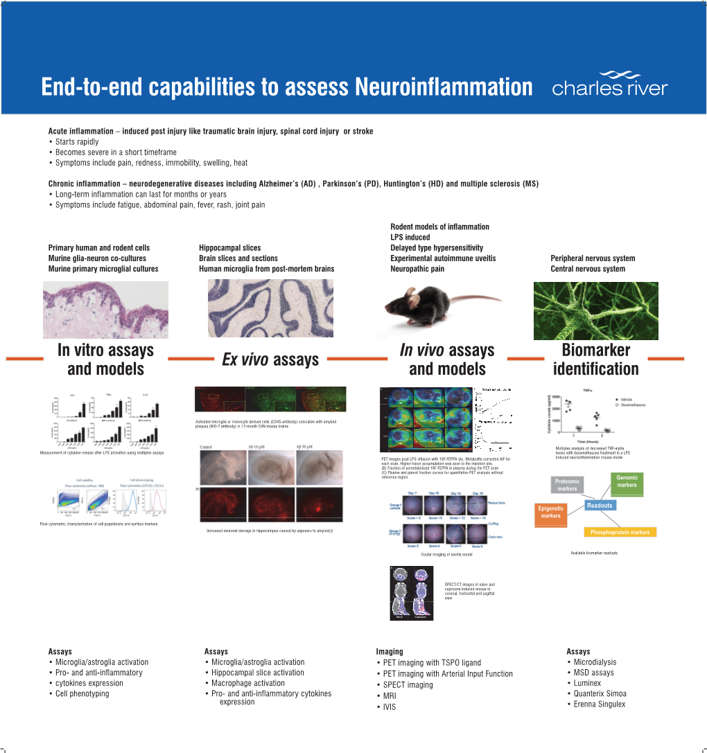 End-To-End Capabilities to Assess Neuroinflammation