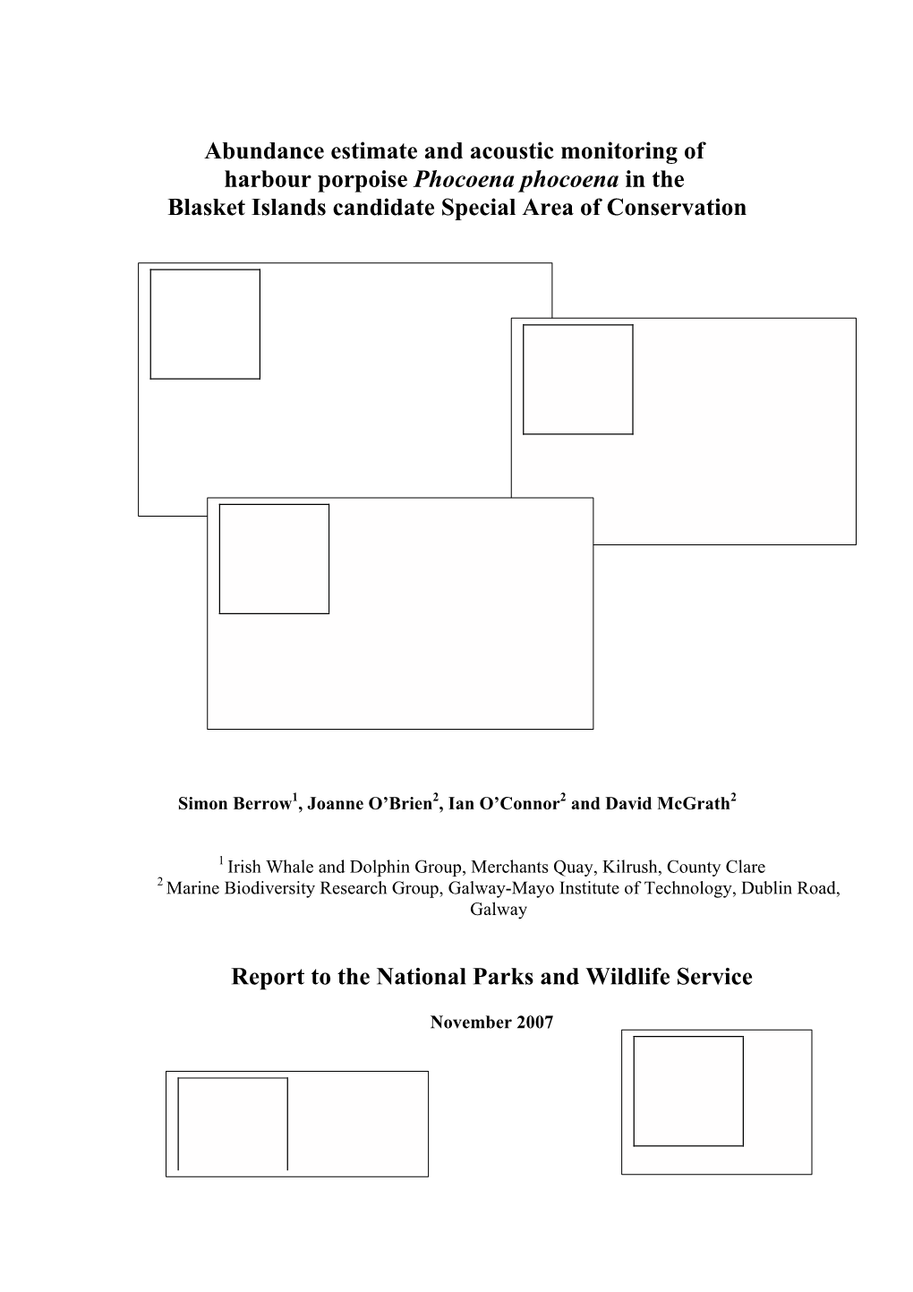 Abundance Estimate and Acoustic Monitoring of Harbour Porpoise Phocoena Phocoena in the Blasket Islands Candidate Special Area of Conservation