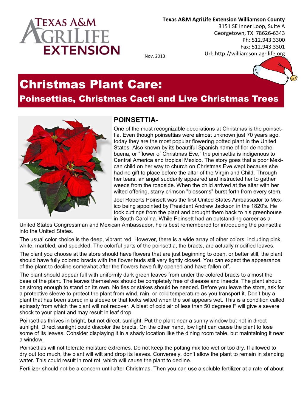 Christmas Plant Care Poinsetta-Cacti-Trees
