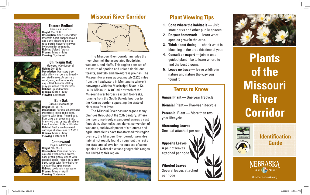 Plants of the Missouri River Corridor
