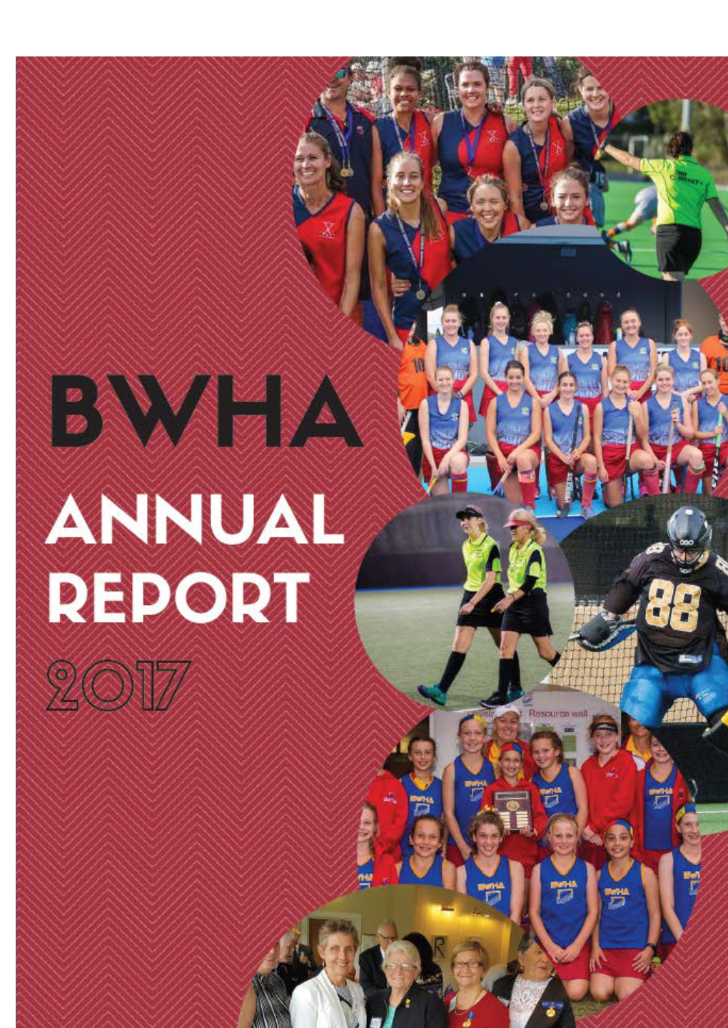 Annual-Report-2017.Pdf