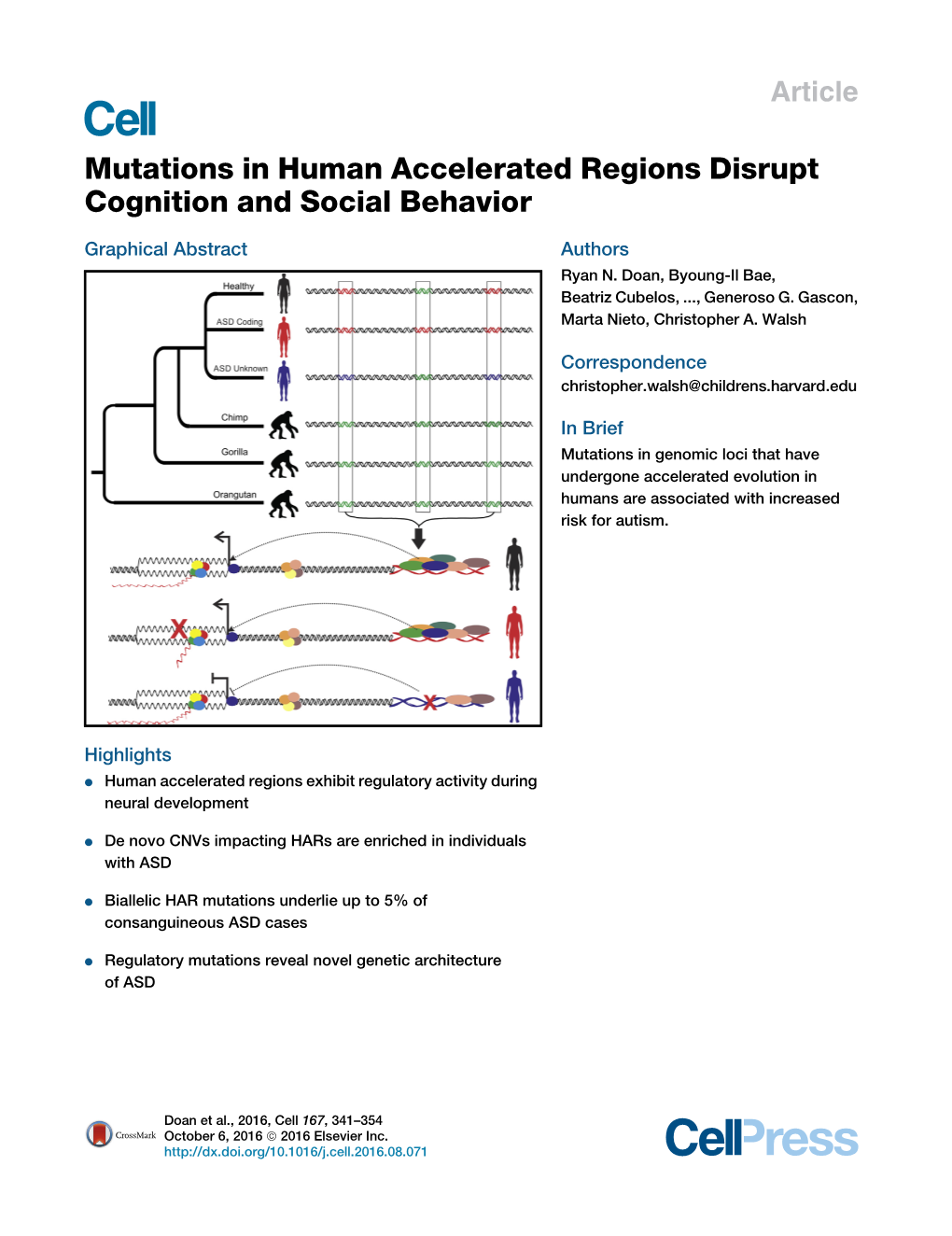Mutations in Human Accelerated Regions Disrupt Cognition and Social Behavior