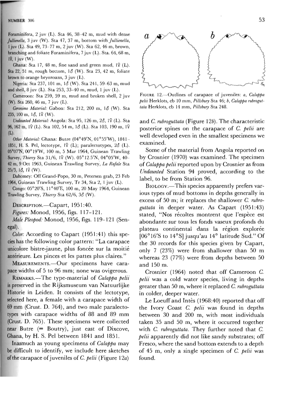 Capart, 1951:40. Figures: Monod, 1956, Figs. 117-121. Male Pleopod