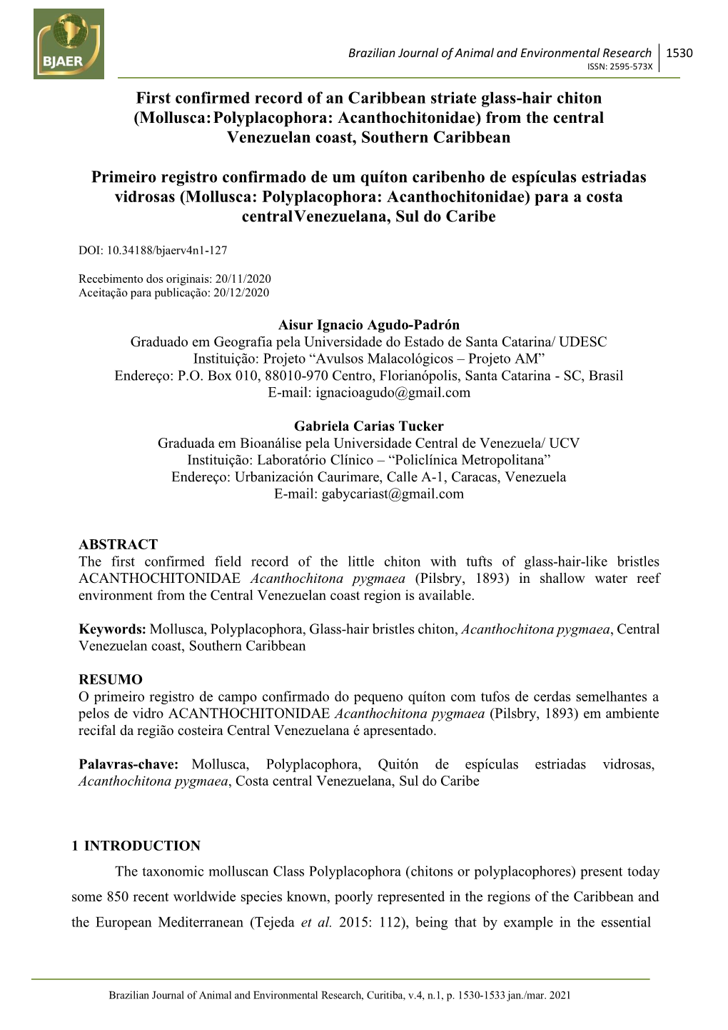 (Mollusca: Polyplacophora: Acanthochitonidae) from the Central Venezuelan Coast, Southern Caribbean