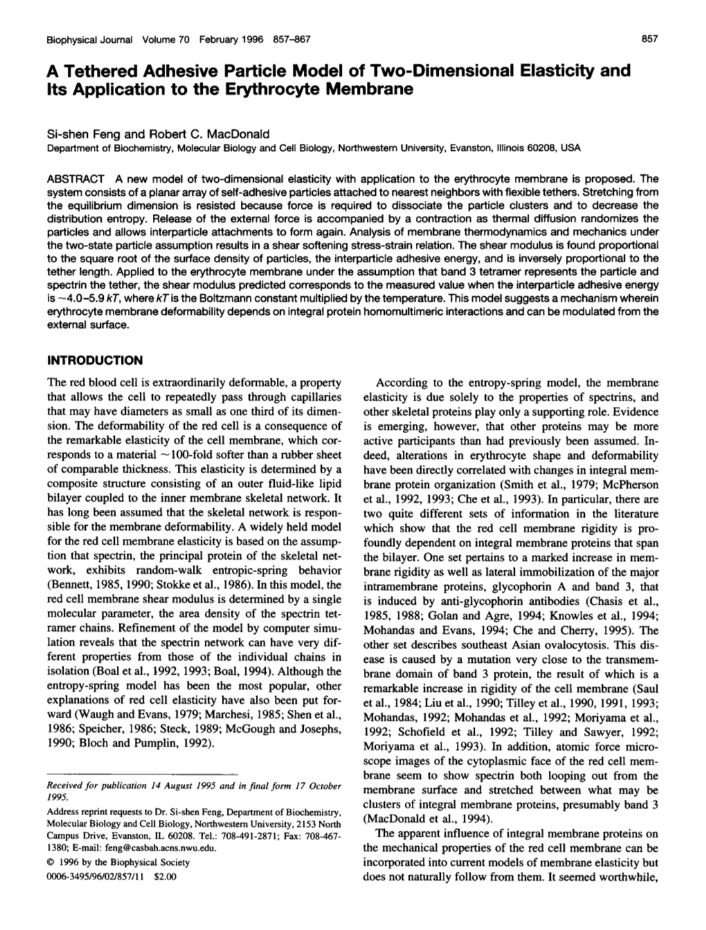 A Tethered Adhesive Particle Model of Two-Dimensional Elasticity and Its Application to the Erythrocyte Membrane