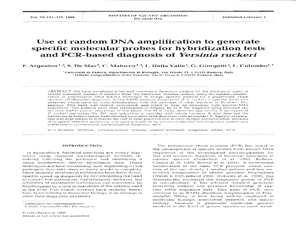 Use of Random DNA Amplification to Generate Specific Molecular Probes for Hybridization Tests and PCR-Based Diagnosis of Yersinia Ruckeri