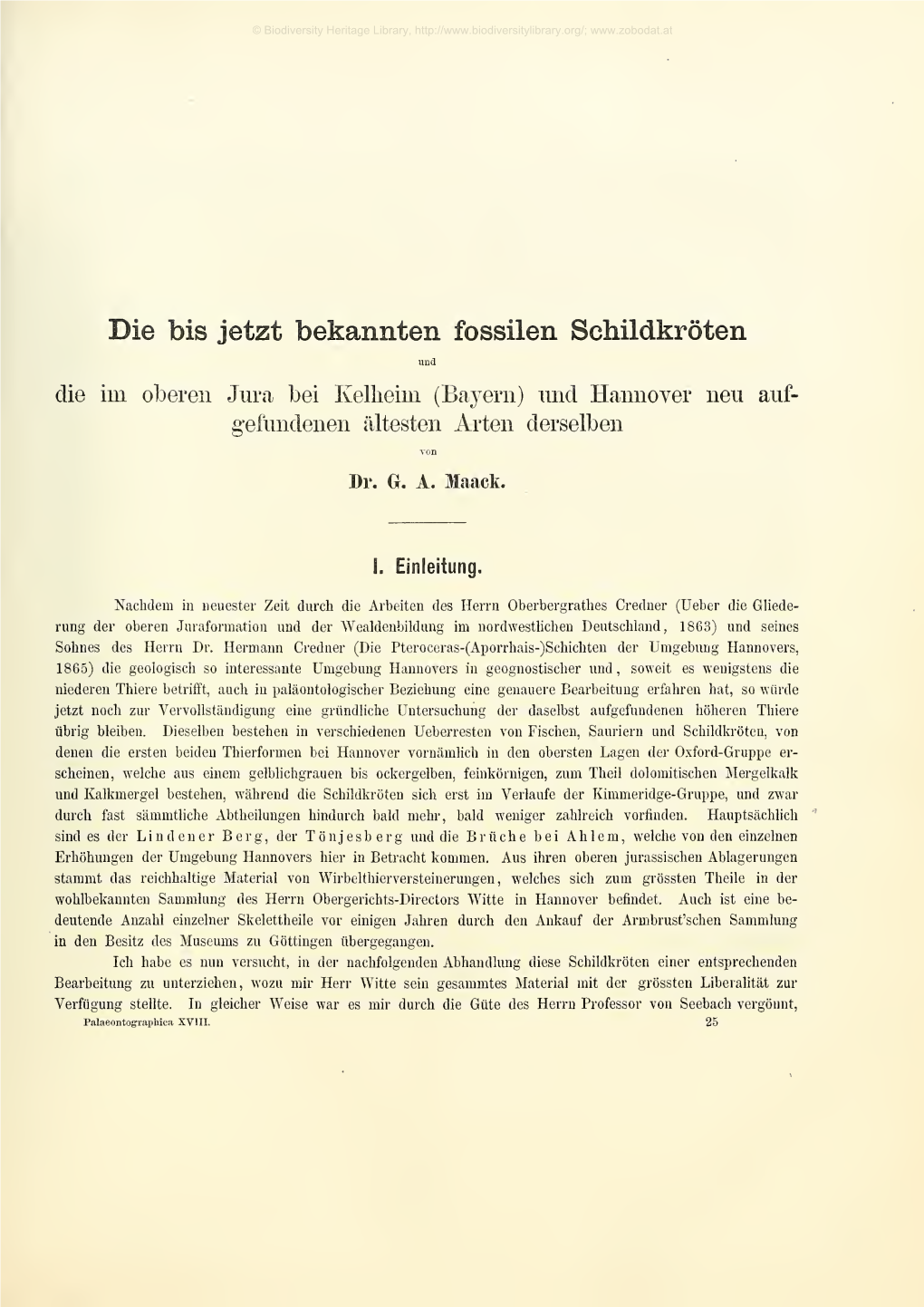 Die Bis Jetzt Bekannten Fossilen Schildkröten