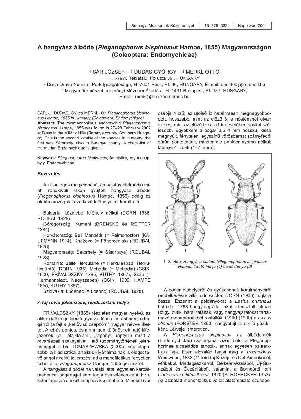 A Hangyász Álböde (Pleganophorus Bispinosus Hampe, 1855) Baranyai Lelõhelyei a HANGYÁSZ ÁLBÖDE (PLEGANOPHORUS BISPINOSUS HAMPE, 1855) 331