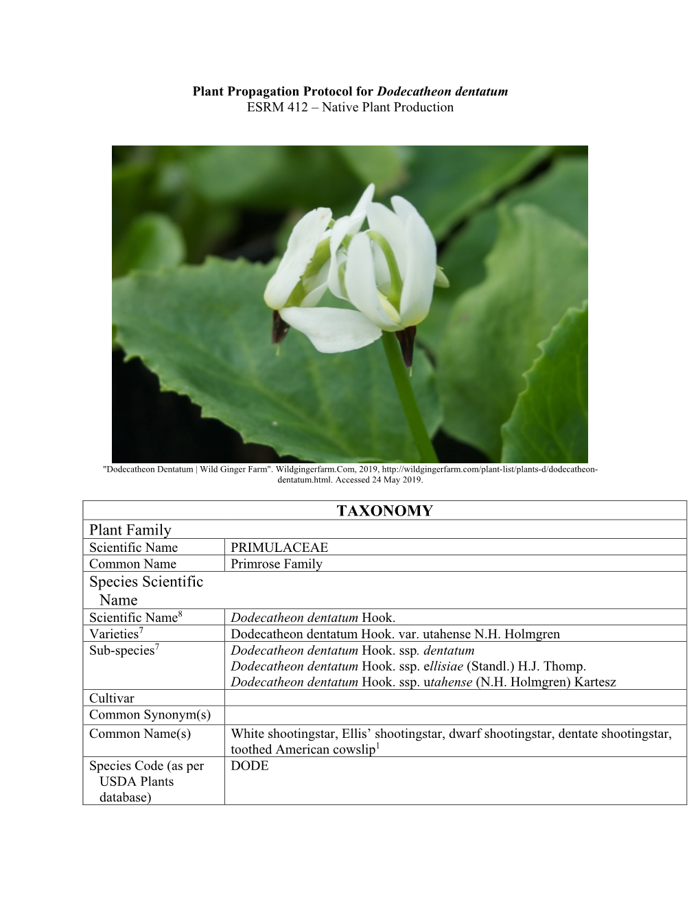 Draft Plant Propagation Protocol