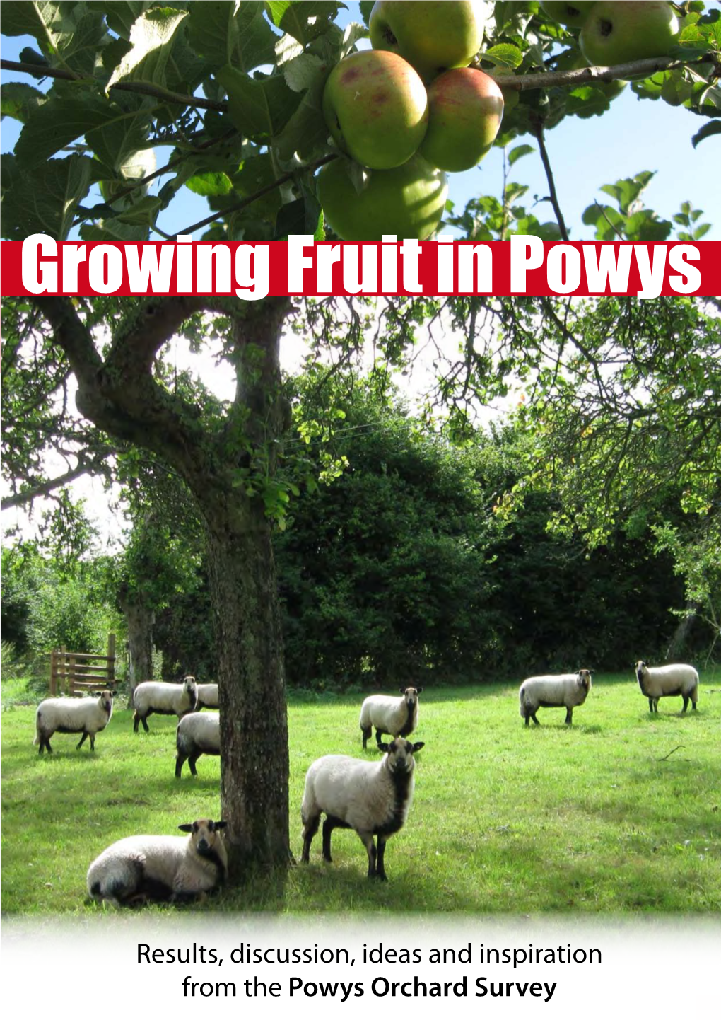 Growing Fruit in Powys