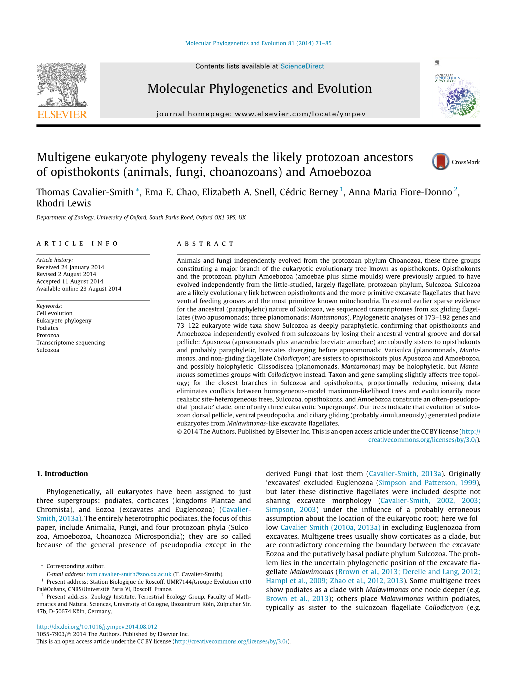 Multigene Eukaryote Phylogeny Reveals the Likely Protozoan Ancestors of Opisthokonts (Animals, Fungi, Choanozoans) and Amoebozoa ⇑ Thomas Cavalier-Smith , Ema E