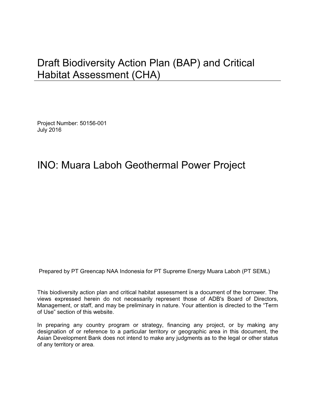 50156-001: Muara Laboh Geothermal Power Project