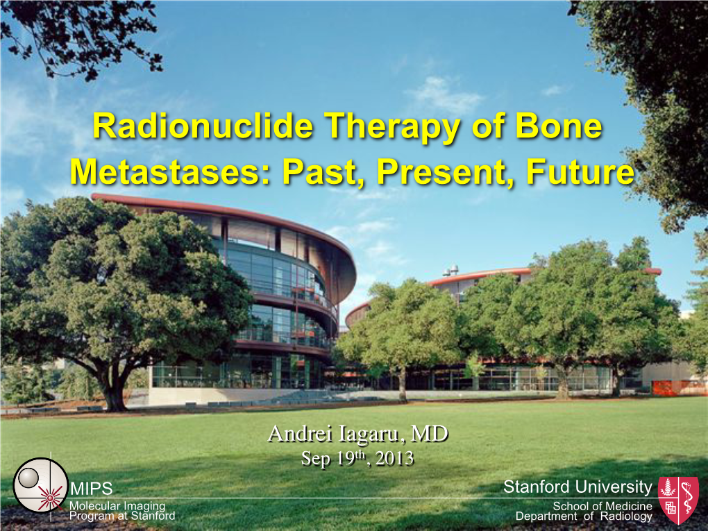 Radionuclide Therapy of Bone Metastases: Past, Present, Future