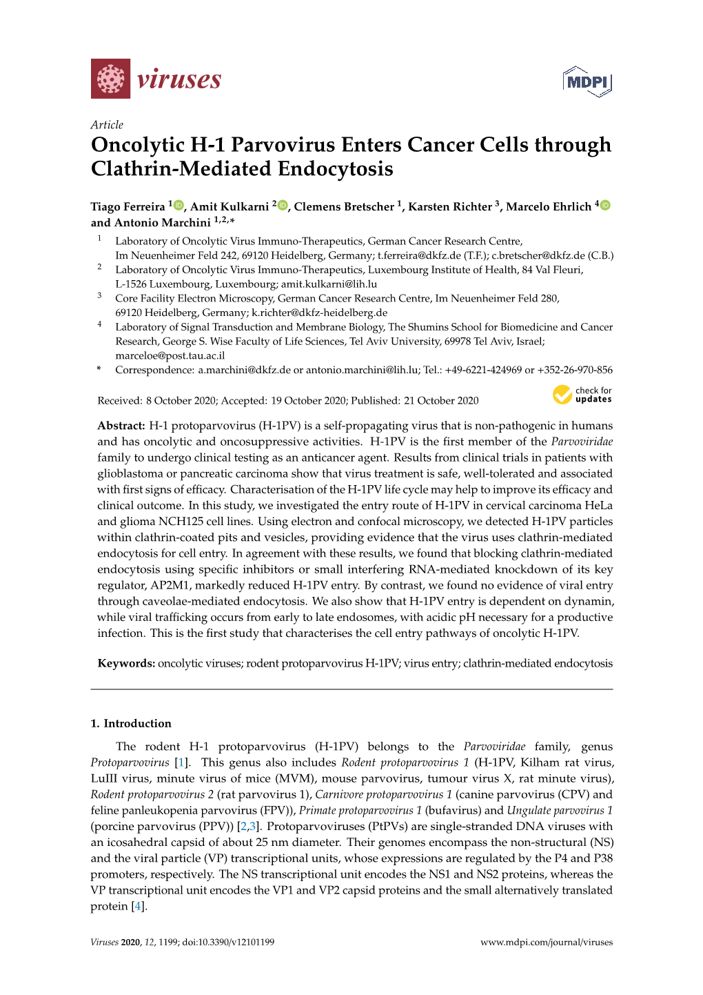 Oncolytic H-1 Parvovirus Enters Cancer Cells Through Clathrin-Mediated Endocytosis