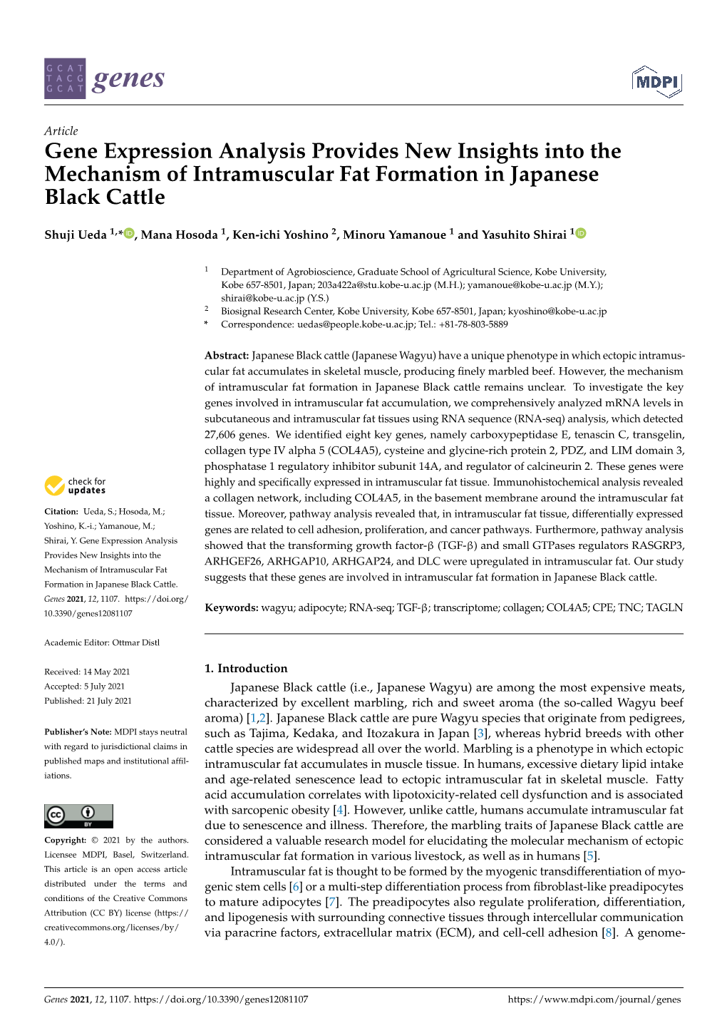 Gene Expression Analysis Provides New Insights Into the Mechanism of Intramuscular Fat Formation in Japanese Black Cattle