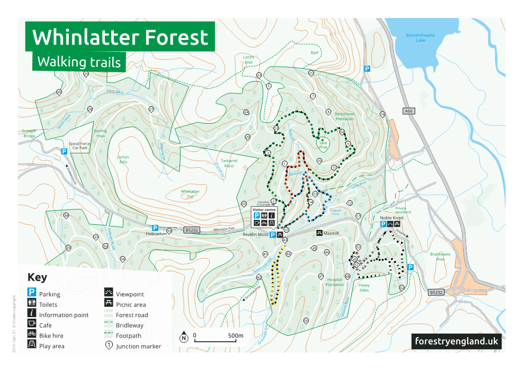 Whinlatter Forest 500 500 Barf 550 Lord’S