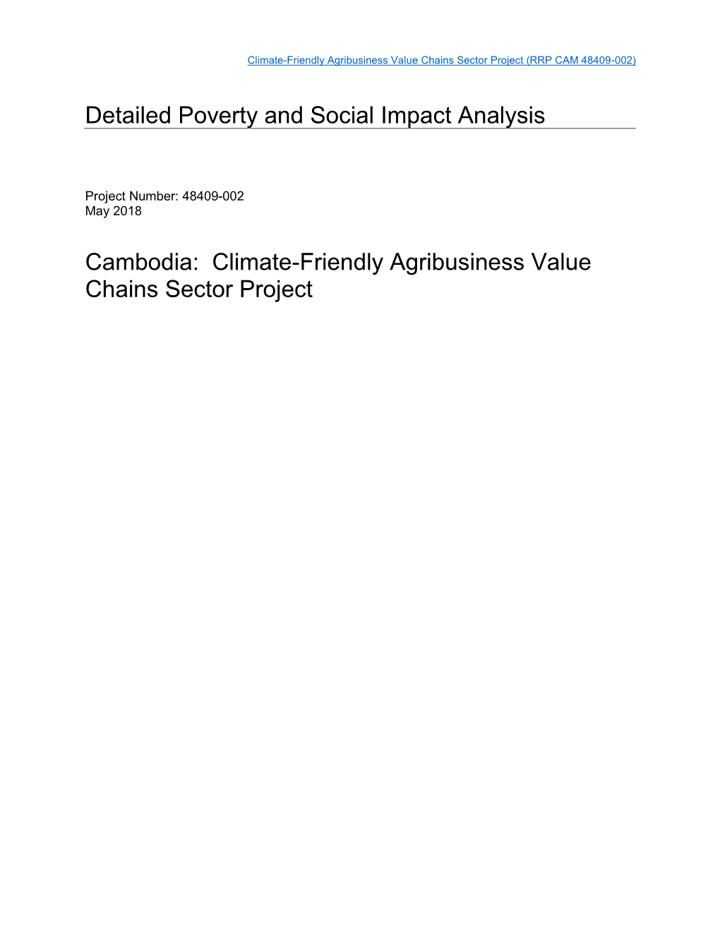 Detailed Poverty and Social Impact Analysis