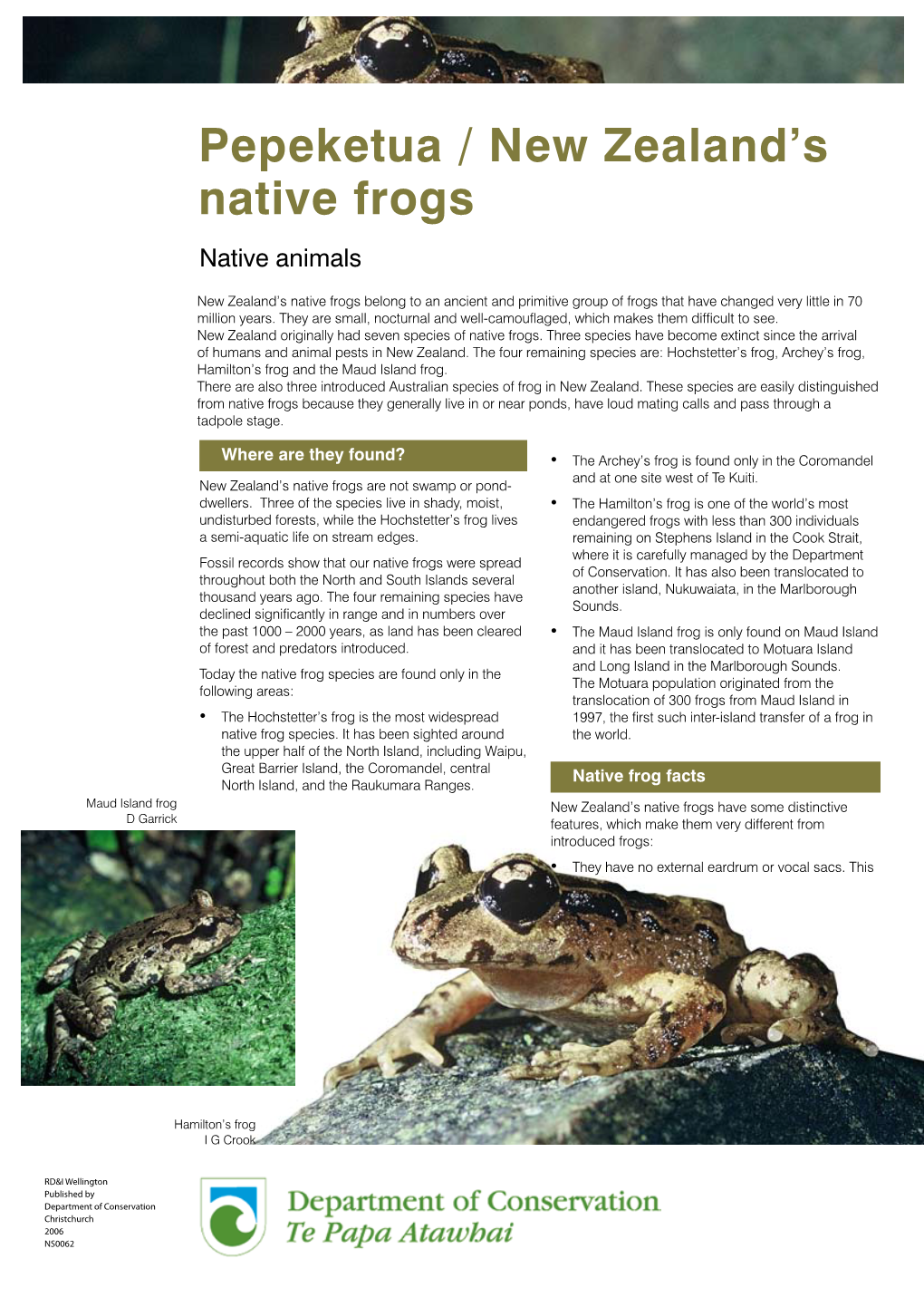 Pepeketua / New Zealand's Native Frogs