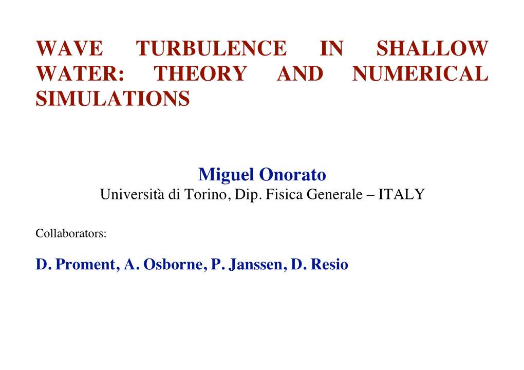 Wave Turbulence in Shallow Water: Theory and Numerical Simulations
