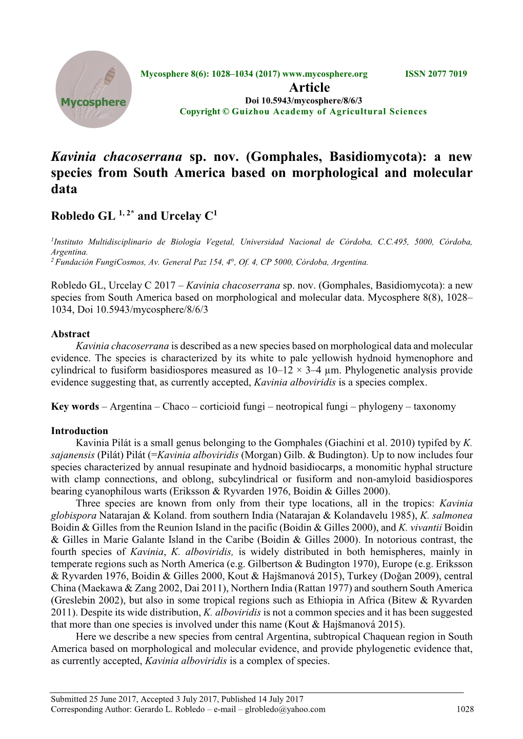 Gomphales, Basidiomycota): a New Species from South America Based on Morphological and Molecular Data