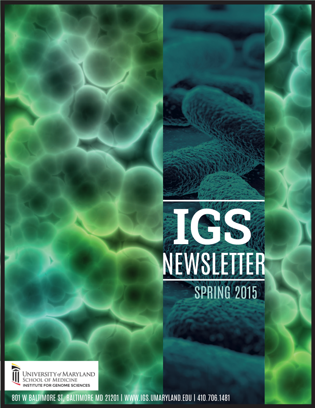 IGS-Newsletter-Spring-2015.Pdf