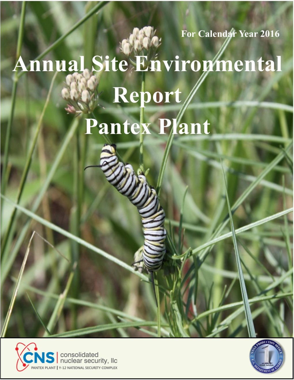 2016 Site Environmental Report