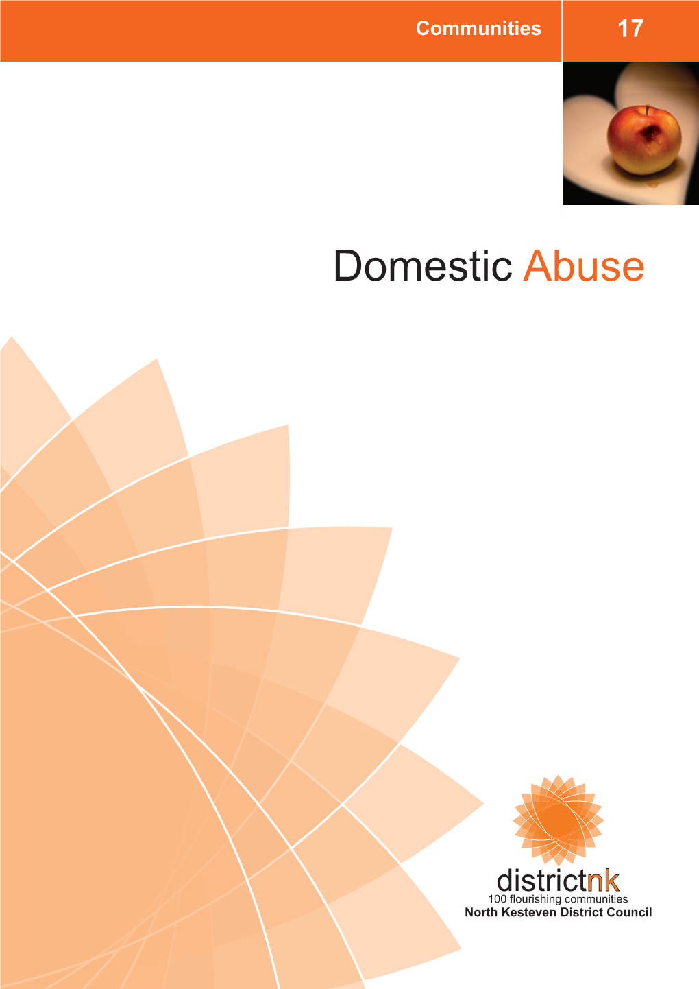 Domestic Abuse