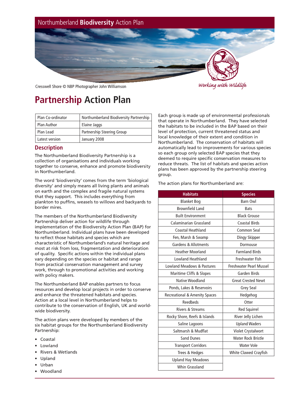 Partnership Action Plan