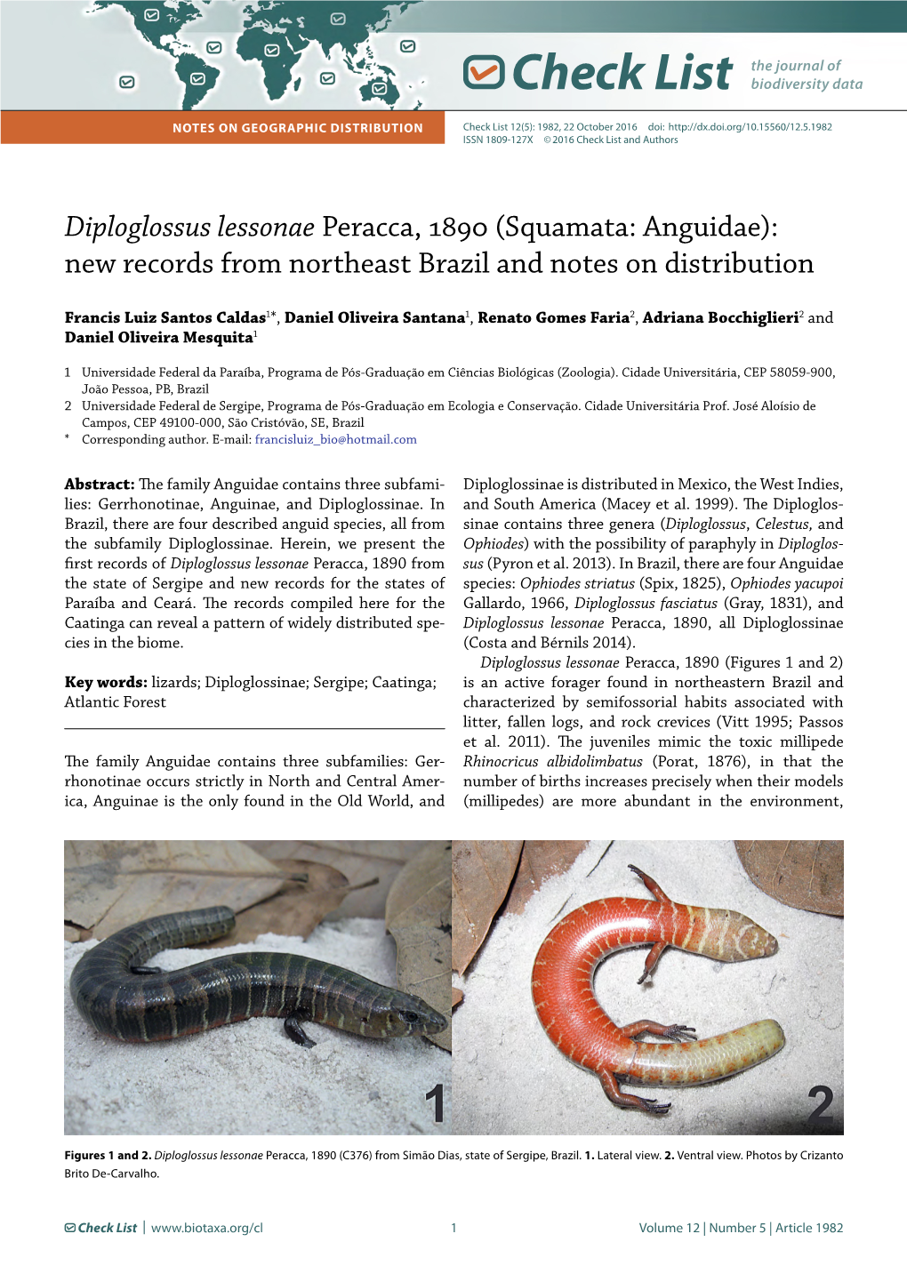 Diploglossus Lessonae Peracca, 1890 (Squamata: Anguidae): New Records from Northeast Brazil and Notes on Distribution