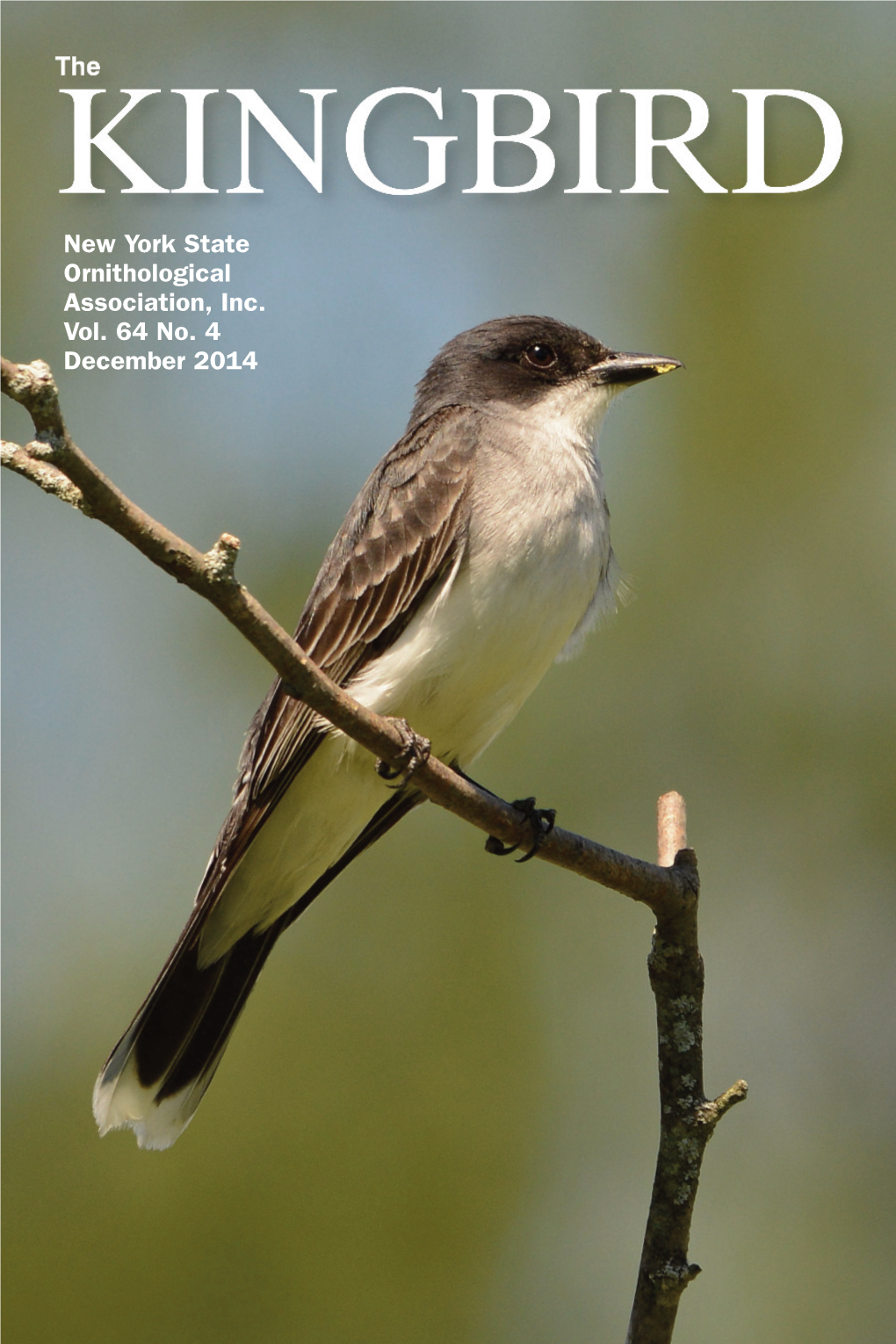 The Kingbird Vol. 64 No. 4 – December 2014