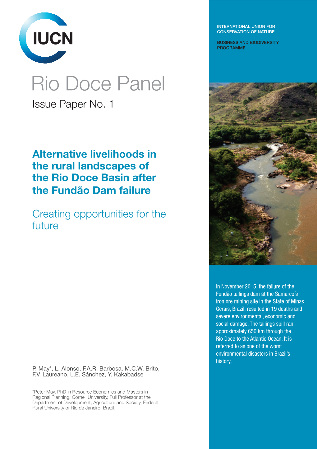 Rio Doce Panel Issue Paper No