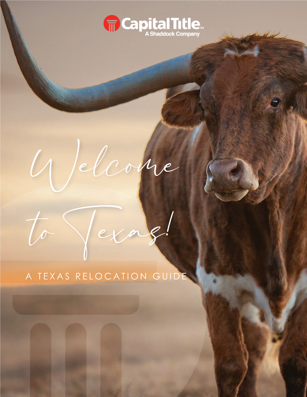 A TEXAS RELOCATION GUIDE the 411 on the Lone Star State
