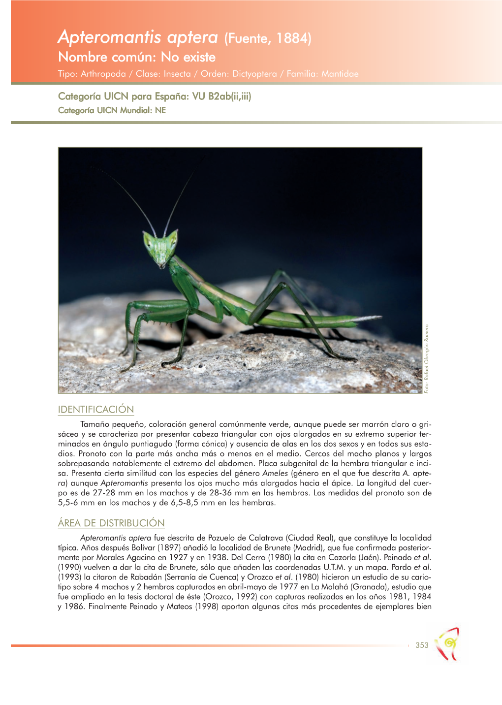 Apteromantis Aptera (Fuente, 1884) Nombre Común: No Existe Tipo: Arthropoda / Clase: Insecta / Orden: Dictyoptera / Familia: Mantidae