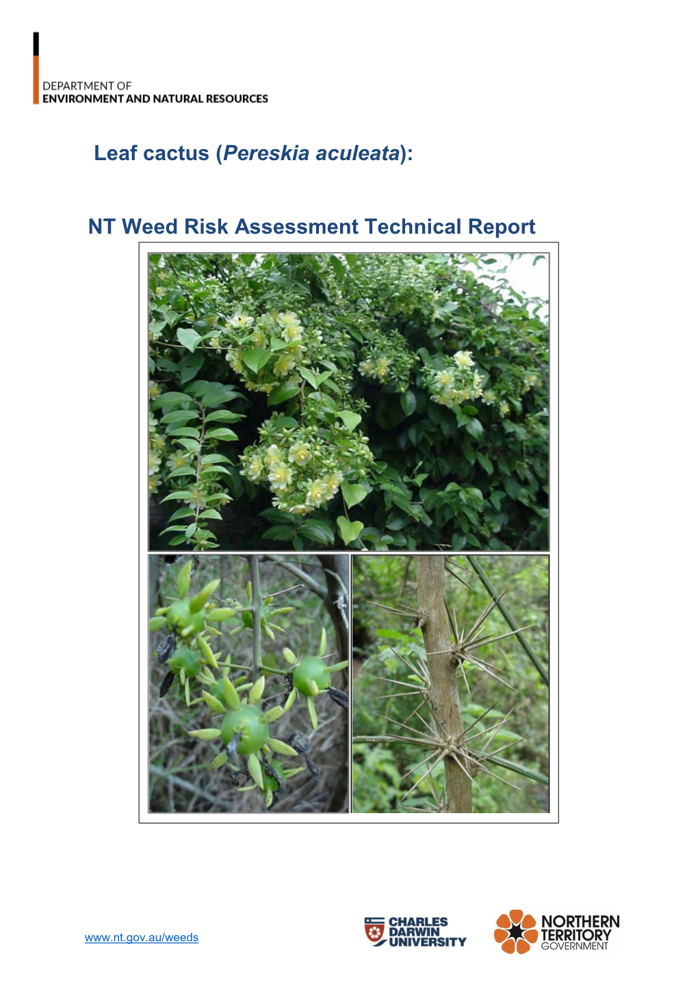 Leaf Cactus NT Weed Risk Assessment Technical Report