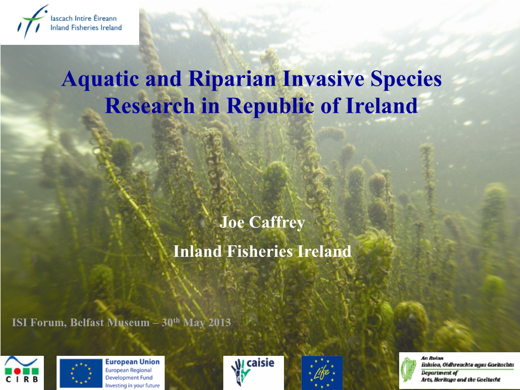 Aquatic and Riparian Invasive Species Research in Republic of Ireland