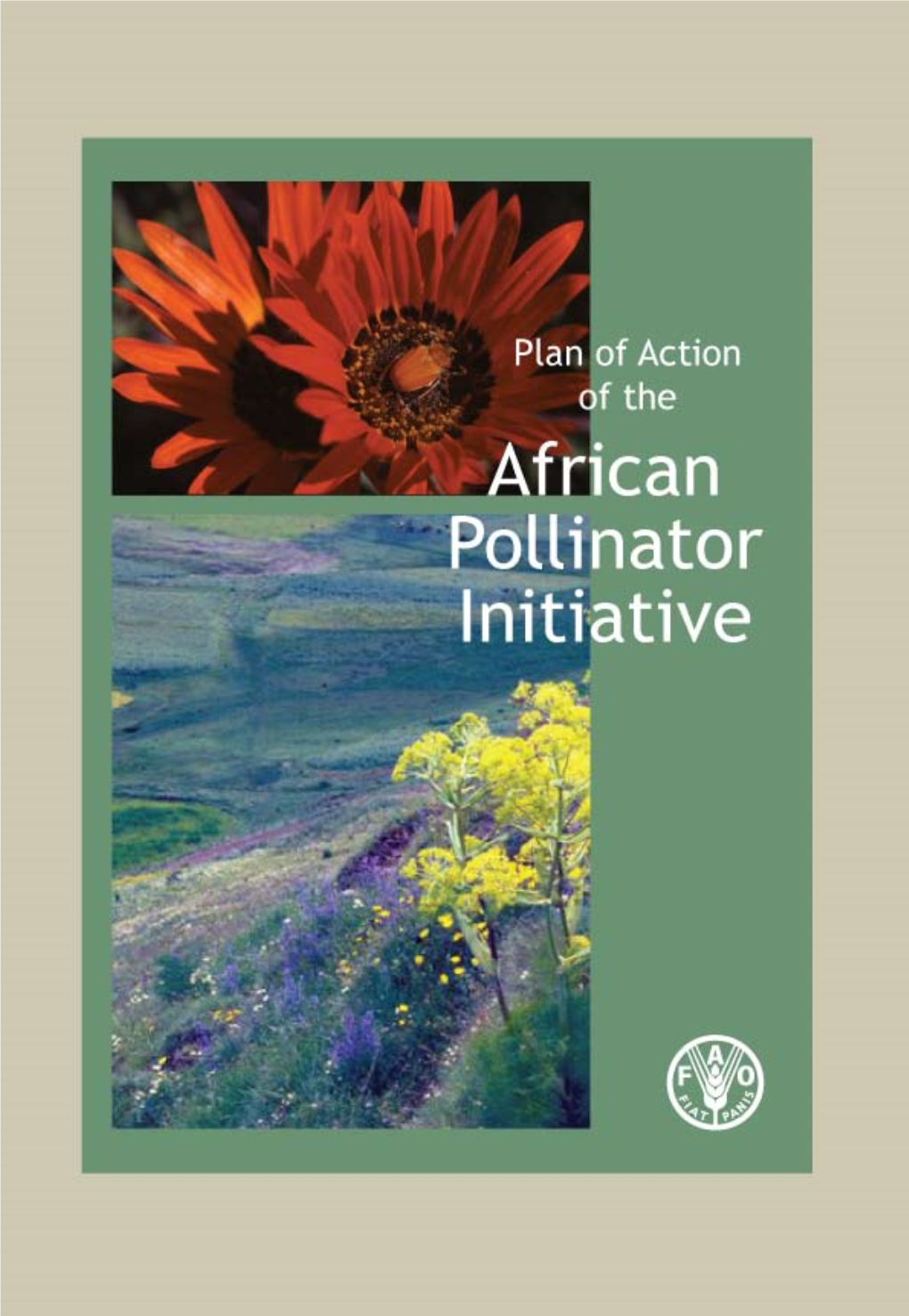 Plan of Action of the African Pollinator Initiative