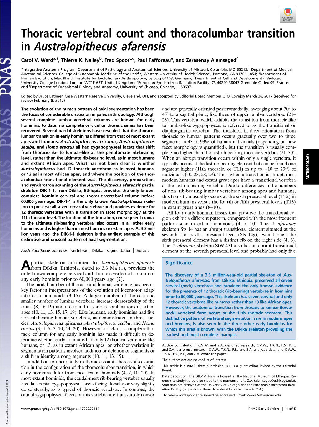 Thoracic Vertebral Count and Thoracolumbar Transition in Australopithecus Afarensis