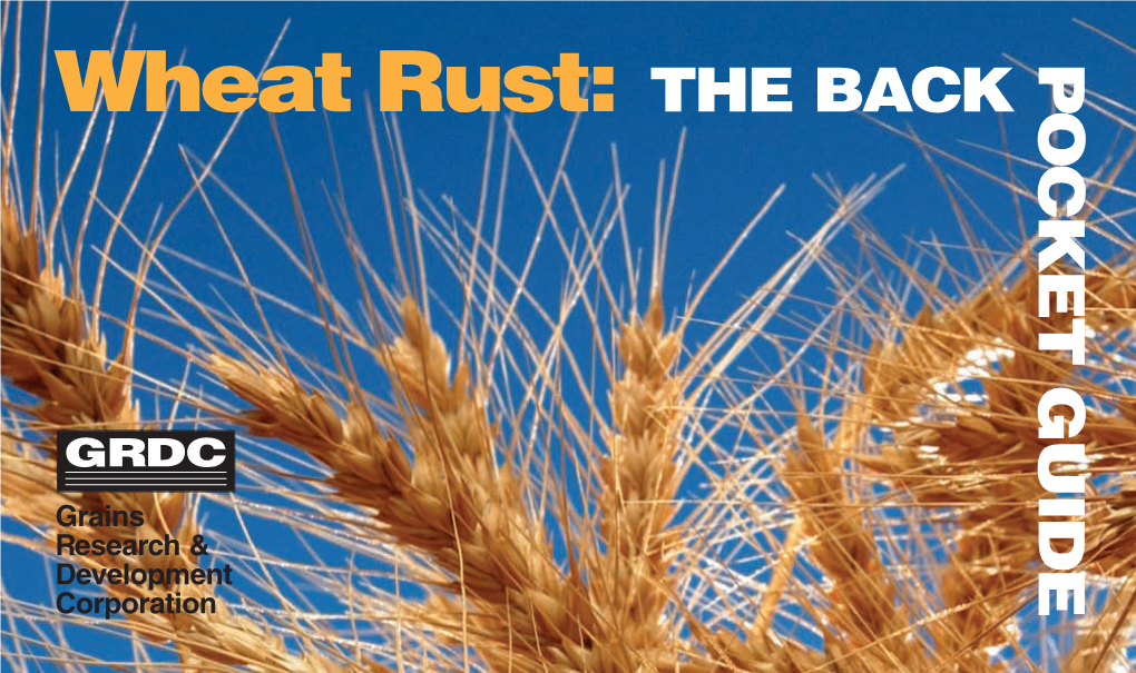 Wheat Rusts • Examine Suspect Stems and Leaves Early in the Morning