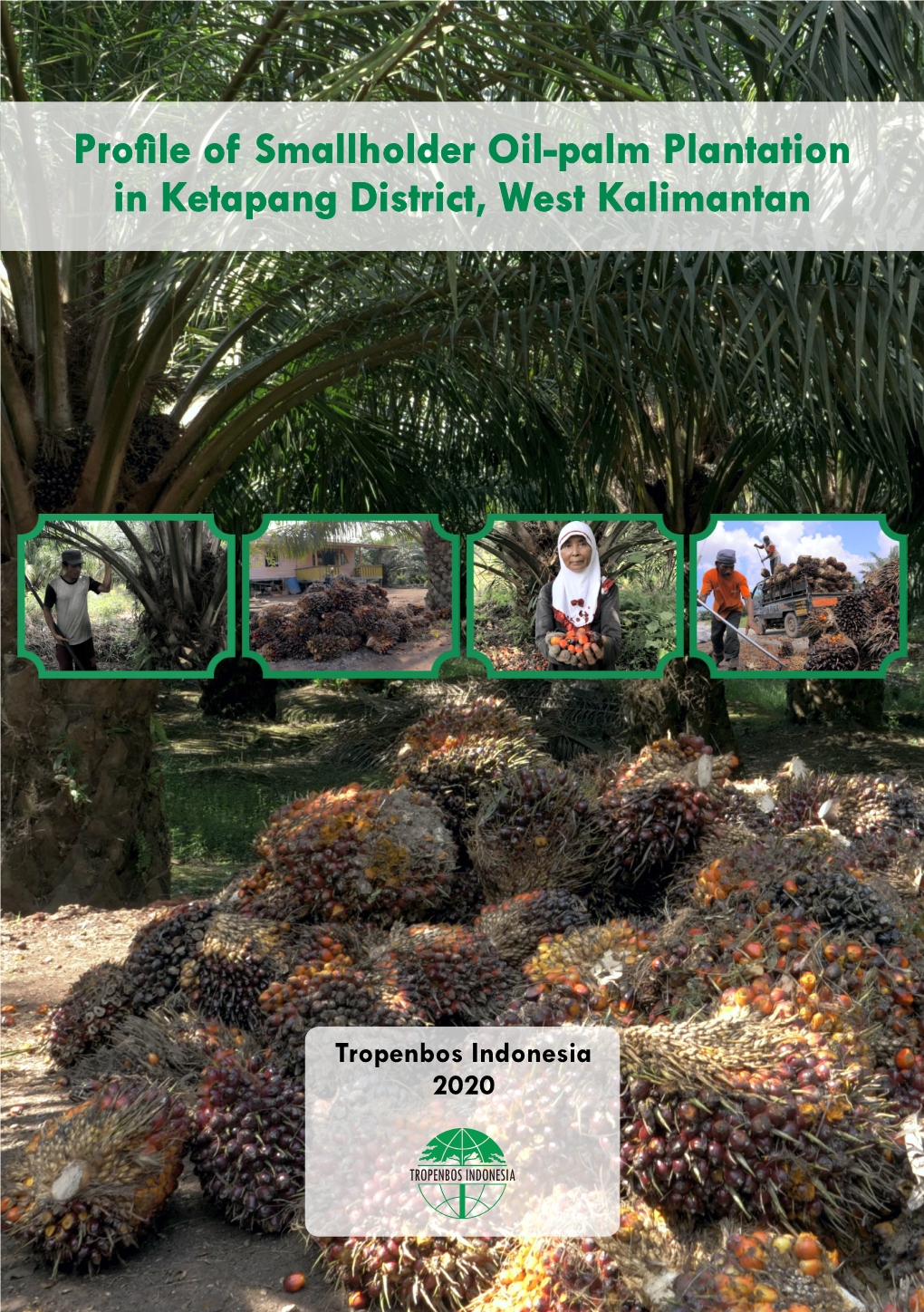 Pro Le of Smallholder Oil-Palm Plantation in Ketapang District