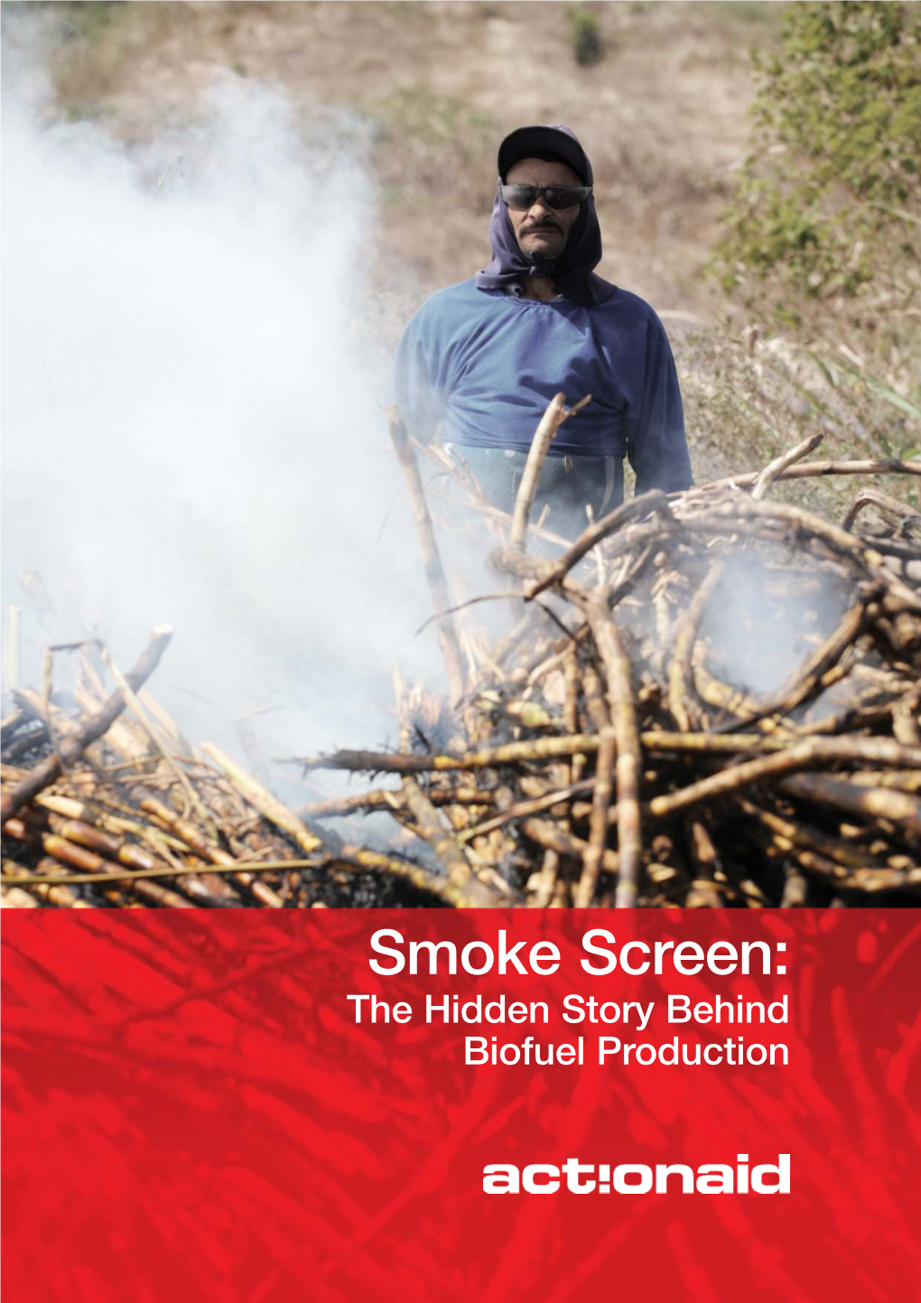 Smoke Screen: the Hidden Story Behind Biofuel Production