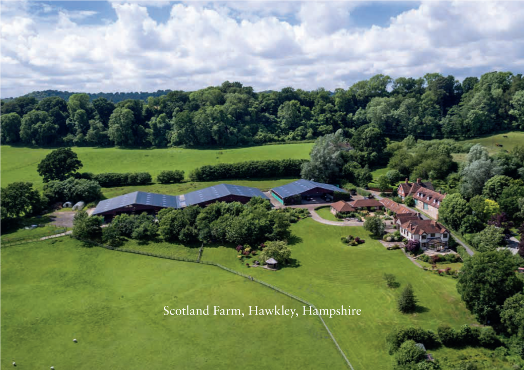 Scotland Farm, Hawkley, Hampshire a Lifestyle Farm Set in an Outstanding Position with Spectacular Views to the South Downs