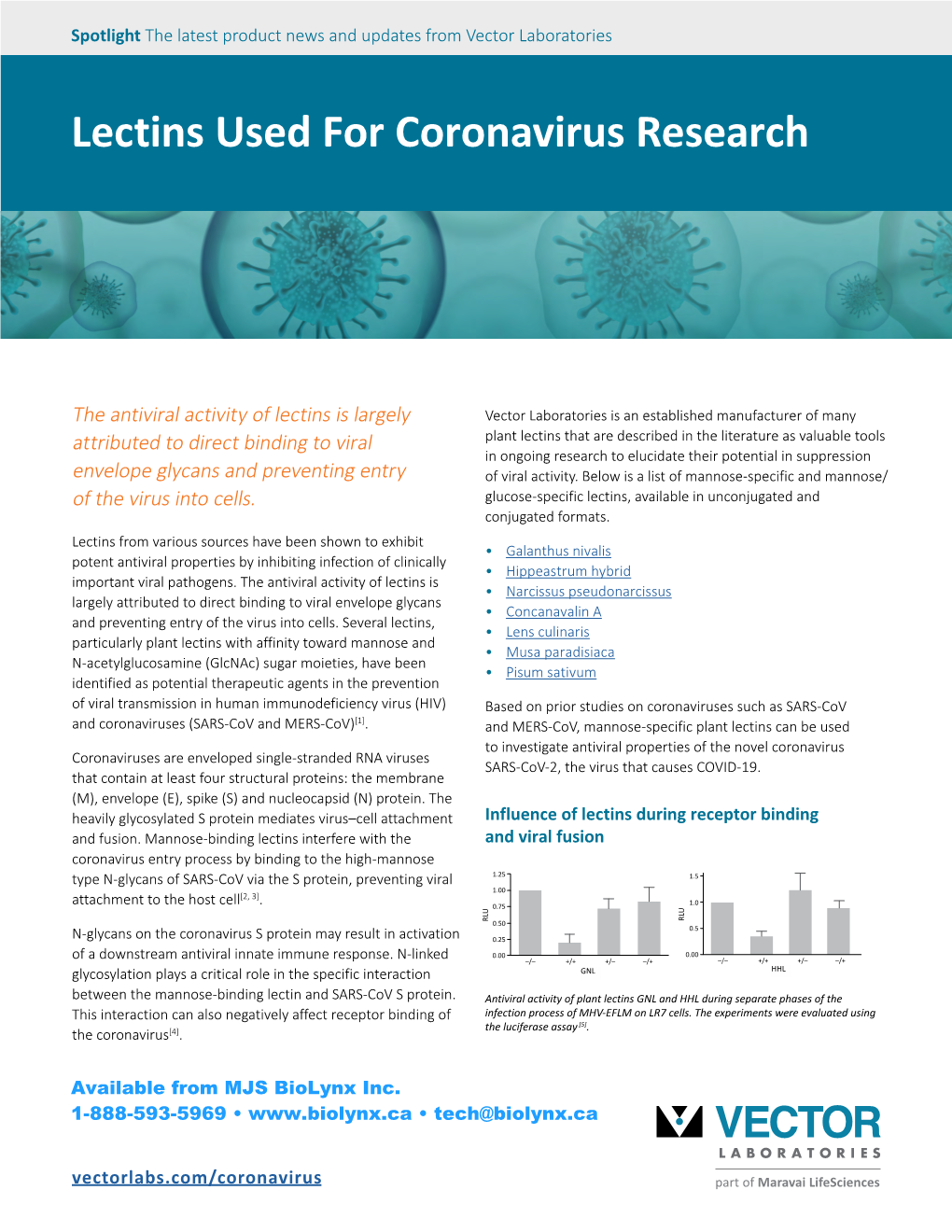 Lectins Used for Coronavirus Research