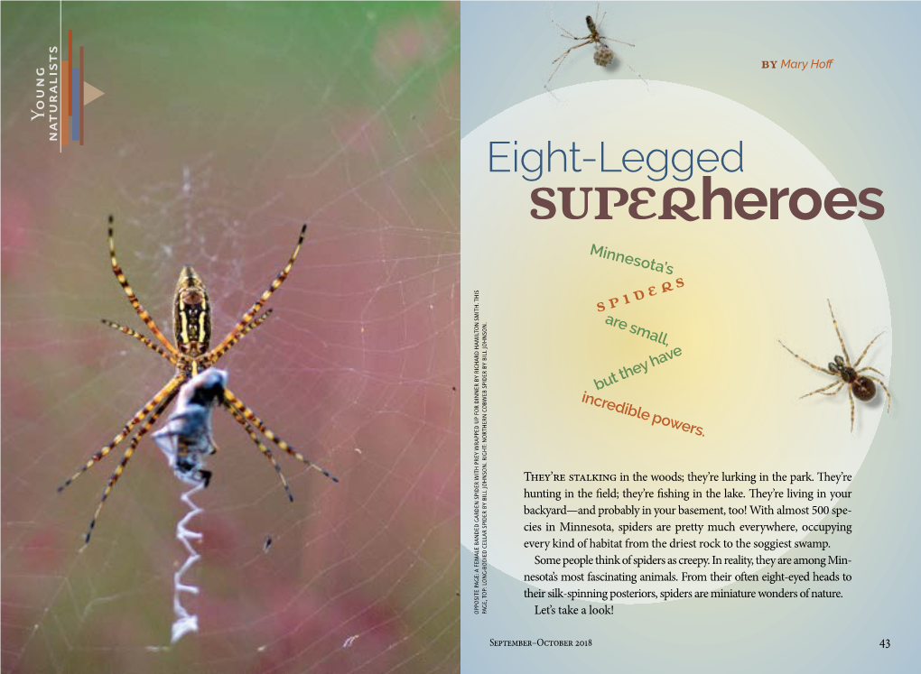 Young Naturalist Eight Legged Super Heroes