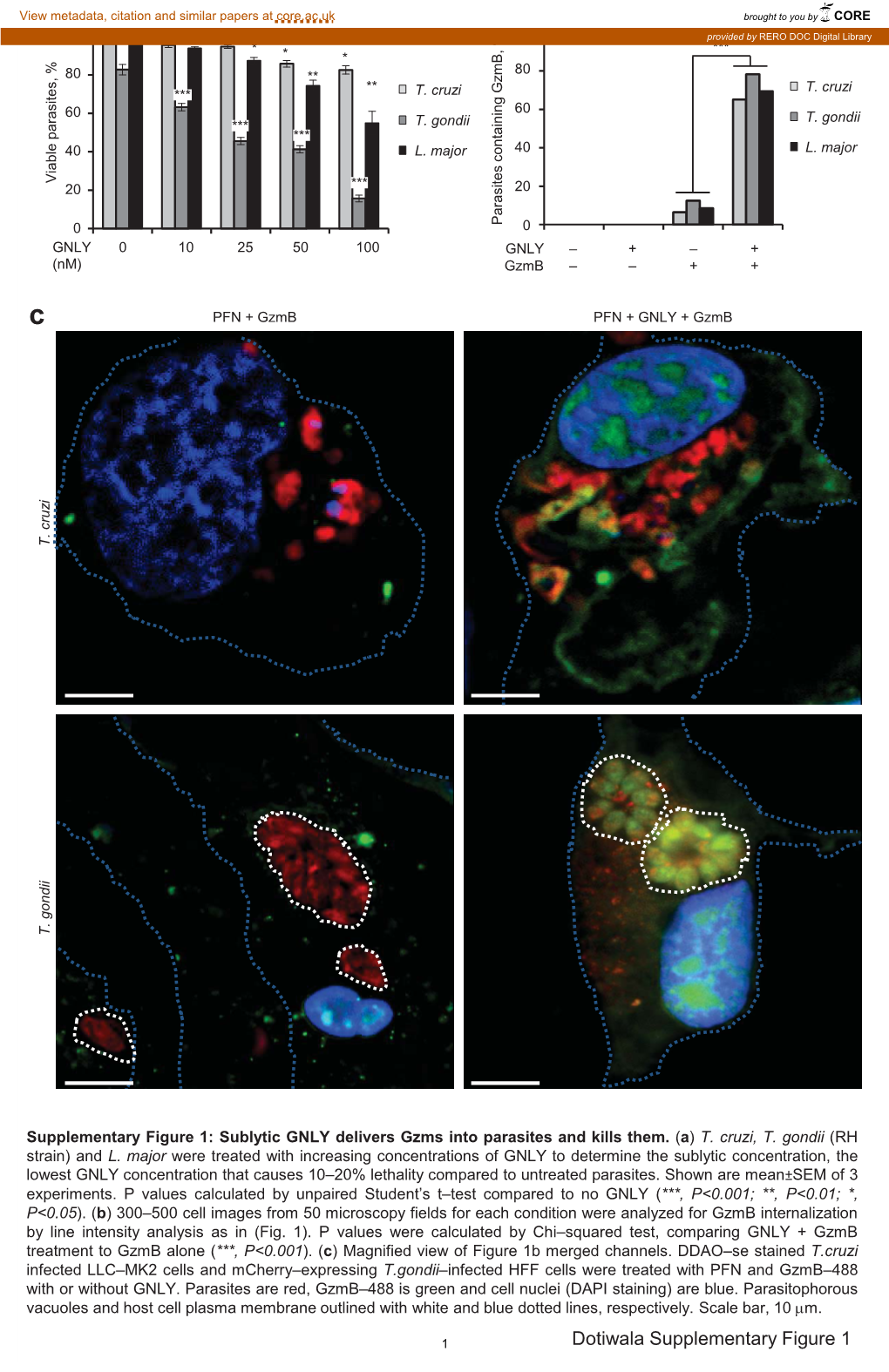 Dotiwala Supplementary Figure 1 a DAPI Gzmb RFP Merge 16